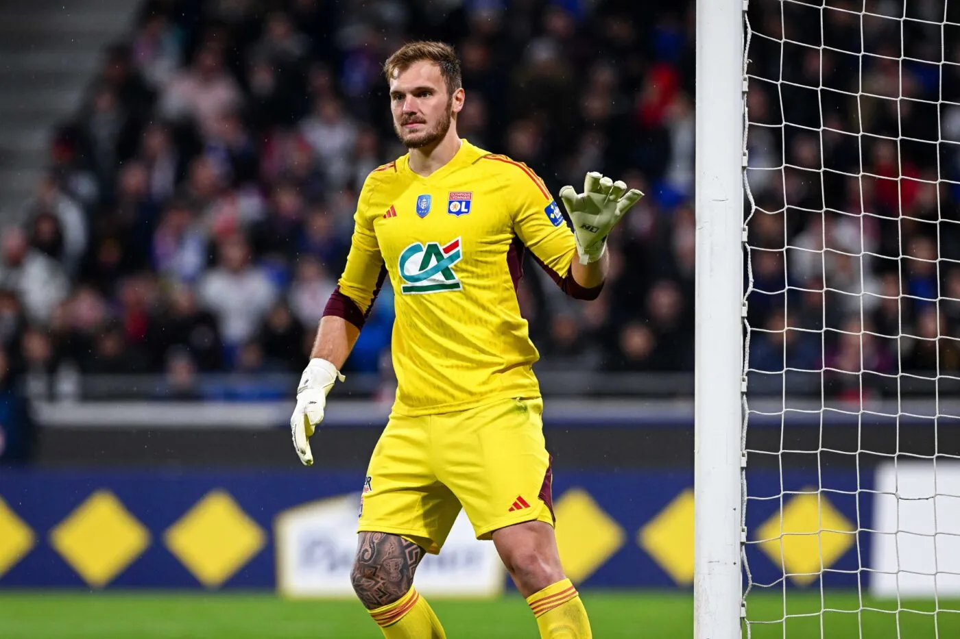 Lucas Perri, la doublure qui peut faire suer Anthony Lopes