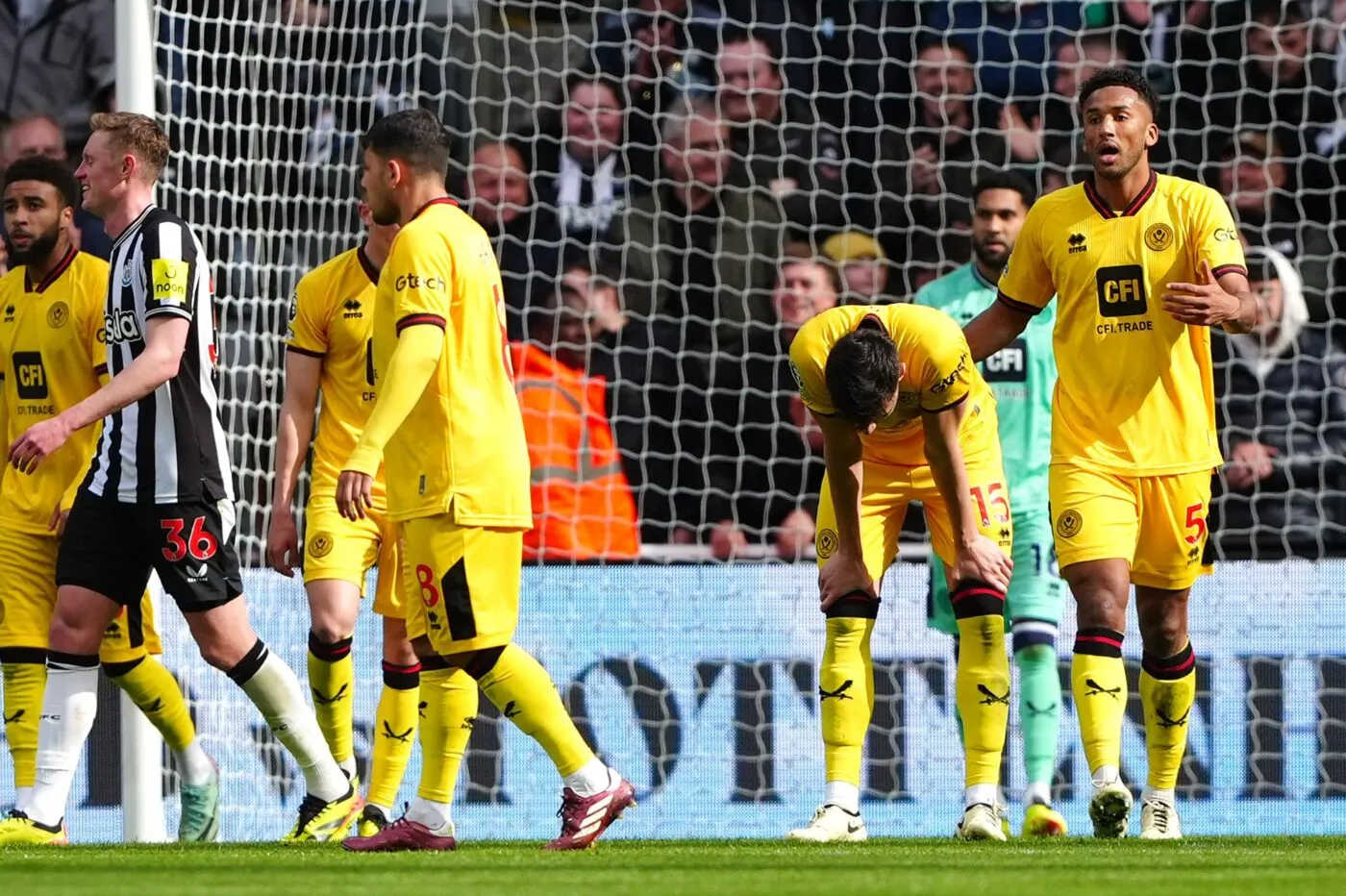 Sheffield United évoluera en Championship la saison prochaine