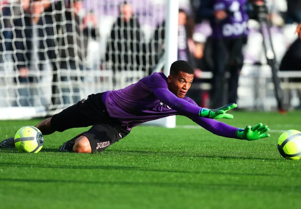 Lafont, des Violets aux Viola