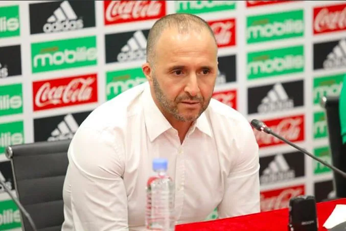 Belmadi et Zetchi, des Verts et des pas mûrs ?