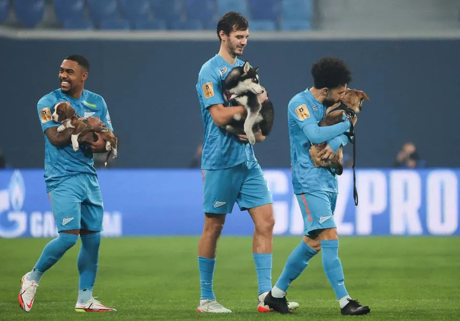 Les joueurs du Zénith posent avec des chats pour vendre leur calendrier.