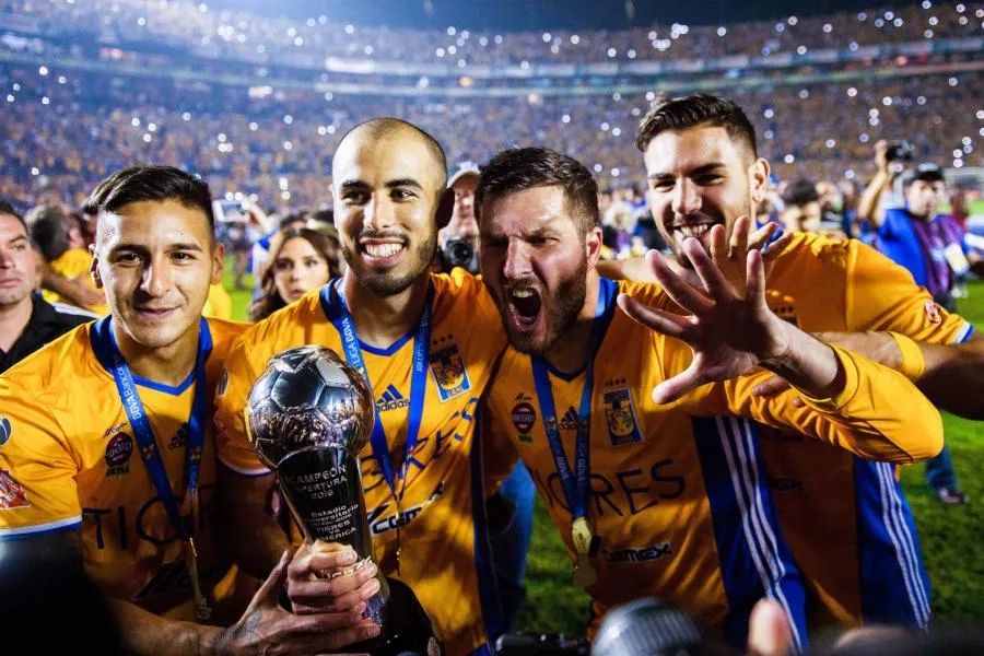 Top 8 : tigres du foot